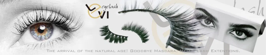 Super Natural Faux Mink Fur Lashes Artificial Lashes for Daily Usage (M6D-006)