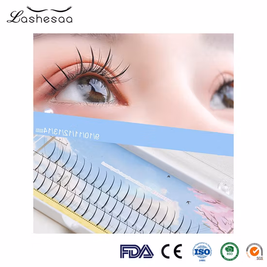 Mengfan Китай Коричневые ресницы Заводской образец Искусственный мех Шелк Синтетический веер Настоящие 3D магнитные бигуди Норковые ресницы Частная марка Ресницы Fairy Cluster Lashes